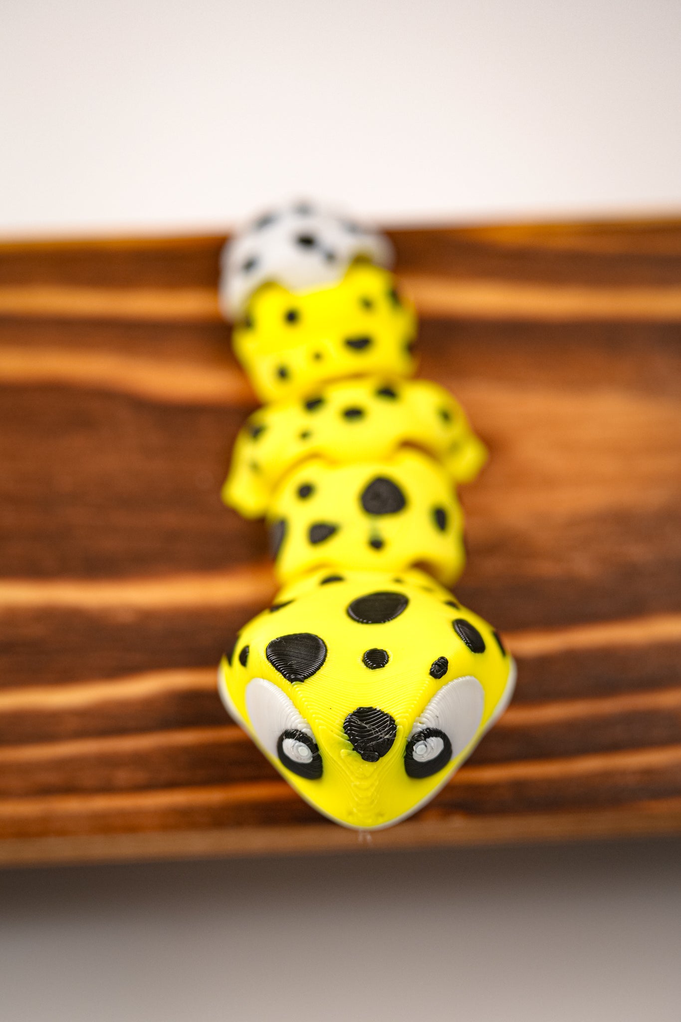 Mini Articulated Baby Lizards | Flexi Fidget Toys