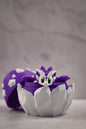 Royal Amethyst Crystal Dragon & Egg